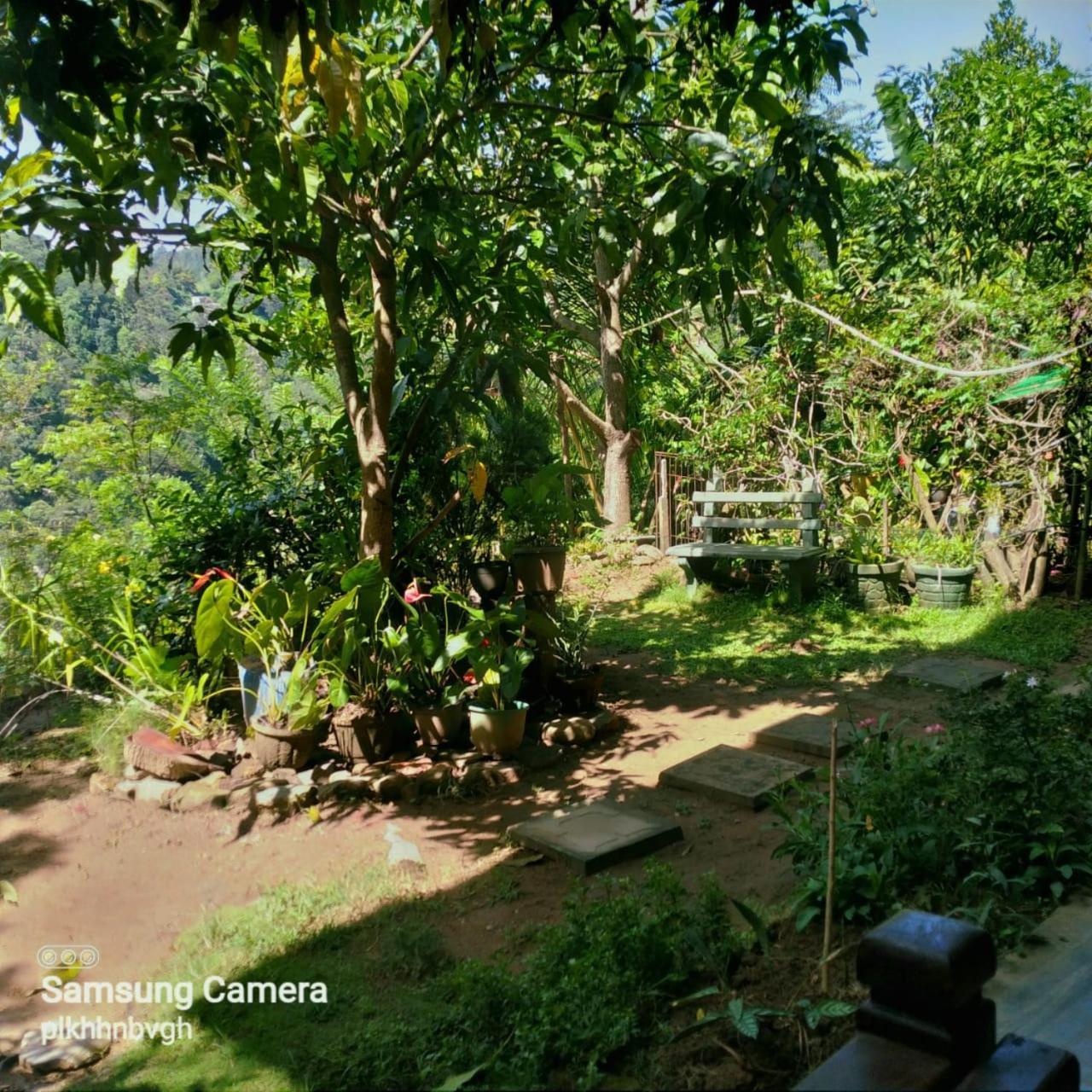 Pasan Guest Bed & Breakfast Ella Exterior photo