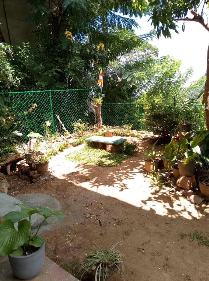 Pasan Guest Bed & Breakfast Ella Exterior photo