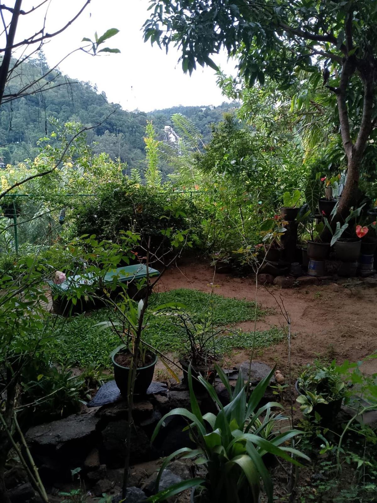 Pasan Guest Bed & Breakfast Ella Exterior photo