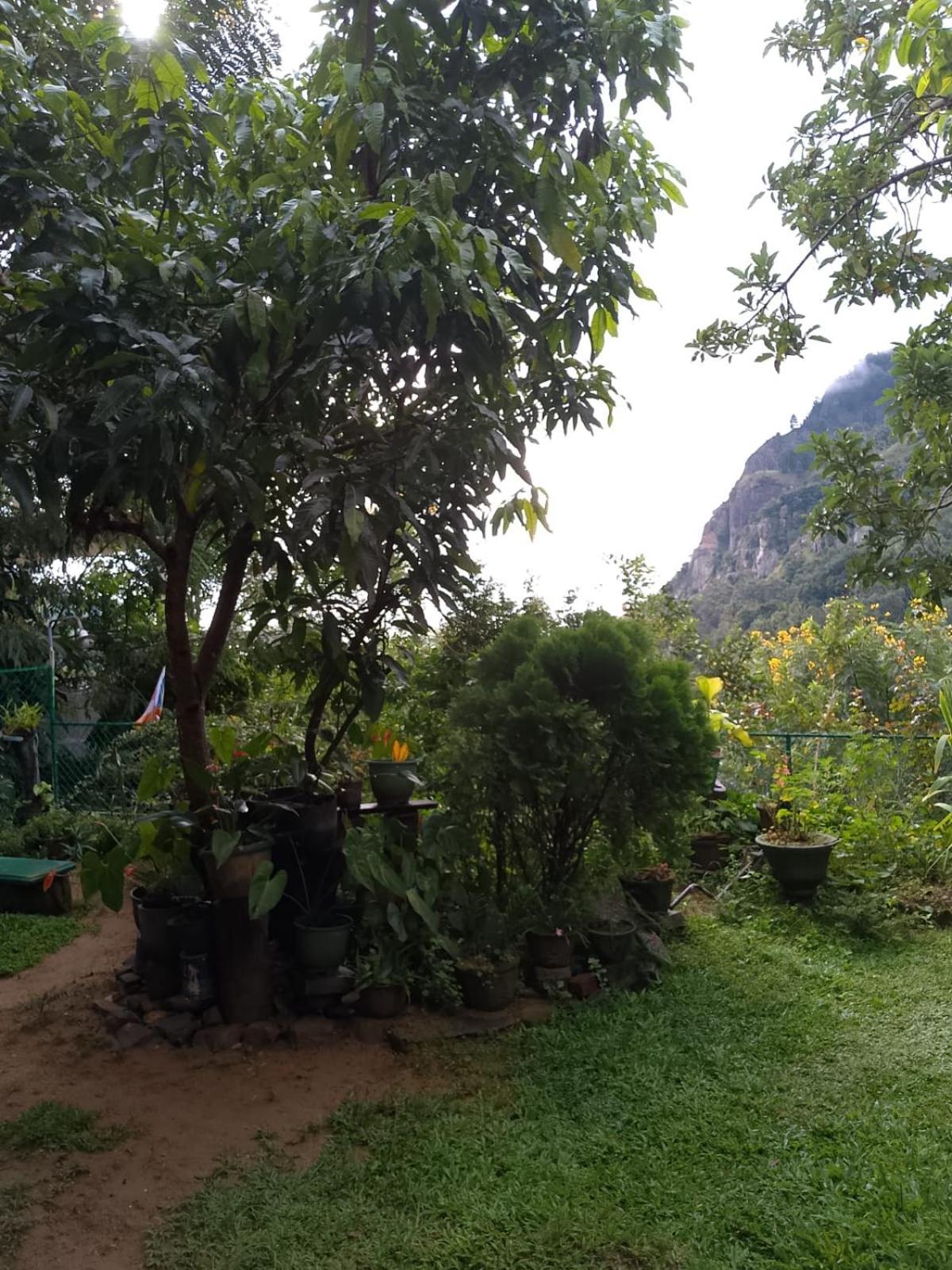 Pasan Guest Bed & Breakfast Ella Exterior photo